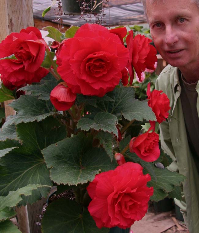B. ‘Allan Langdon’